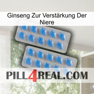 Ginseng Zur Verstärkung Der Niere 23